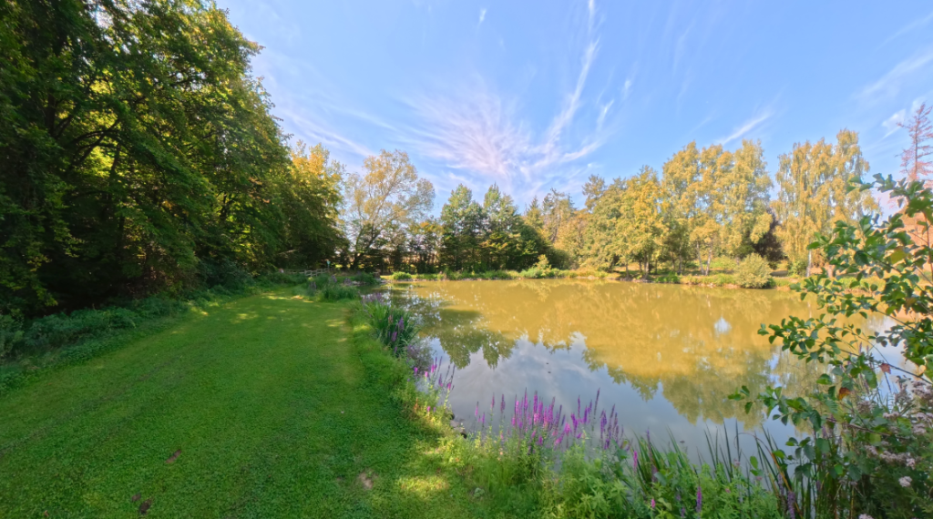 Anglerteich