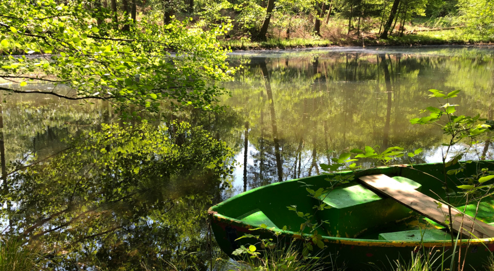 Boot im Fischteich