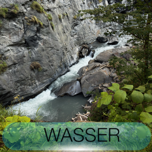 Wasser ist Leben